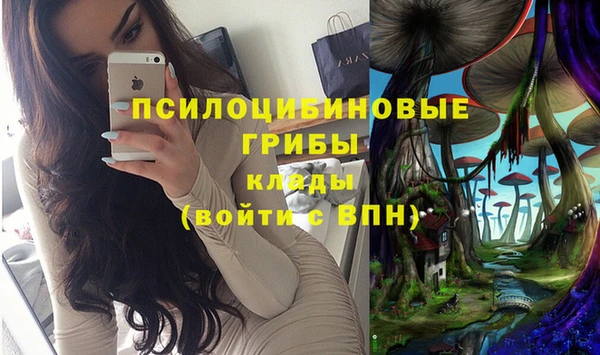 синтетический гашиш Няндома